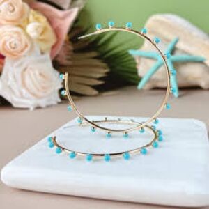 Park Lane Isla Earrings